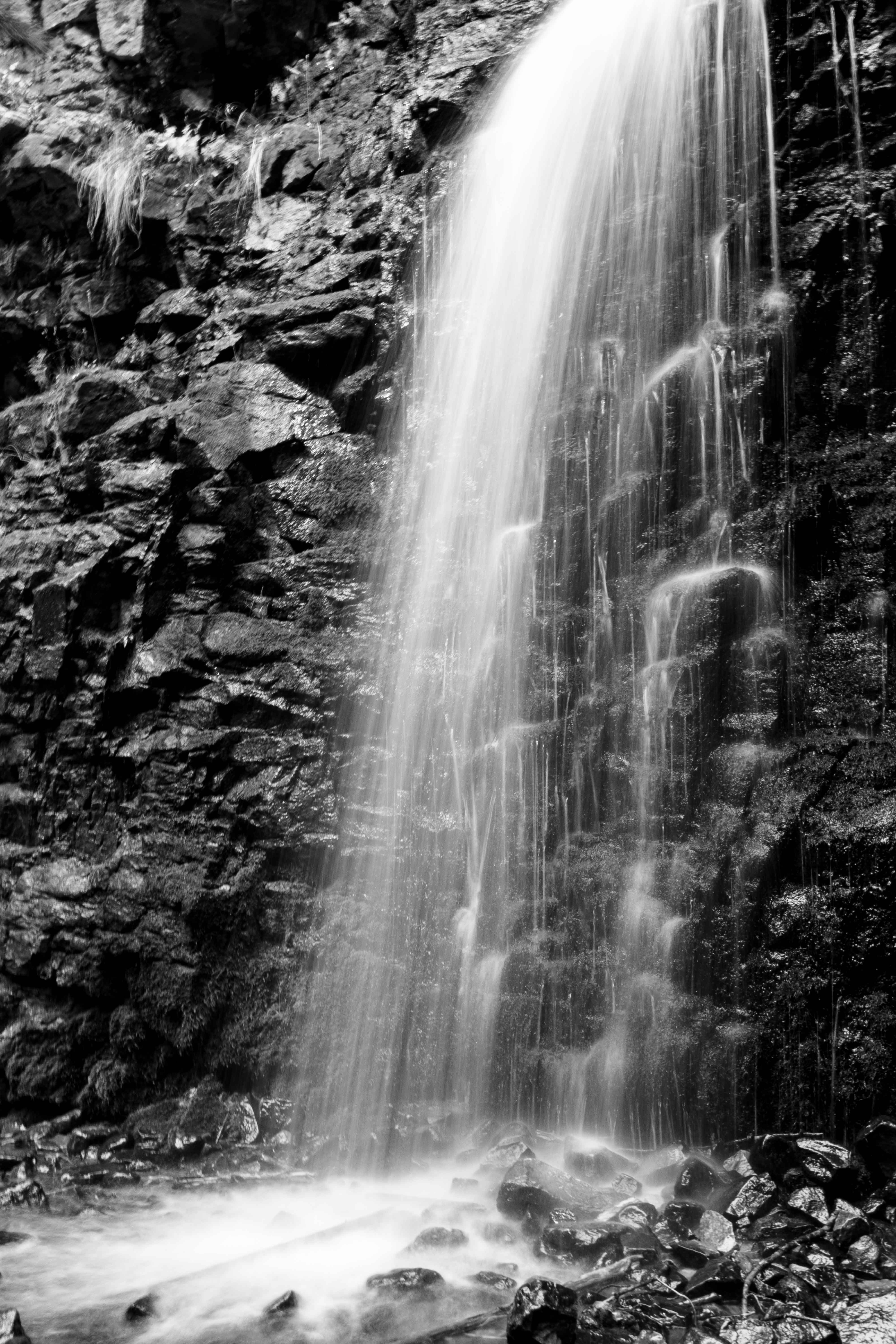 Memorial Falls, Lewis and Clark National Forest, Montana | https://www.roseclearfield.com