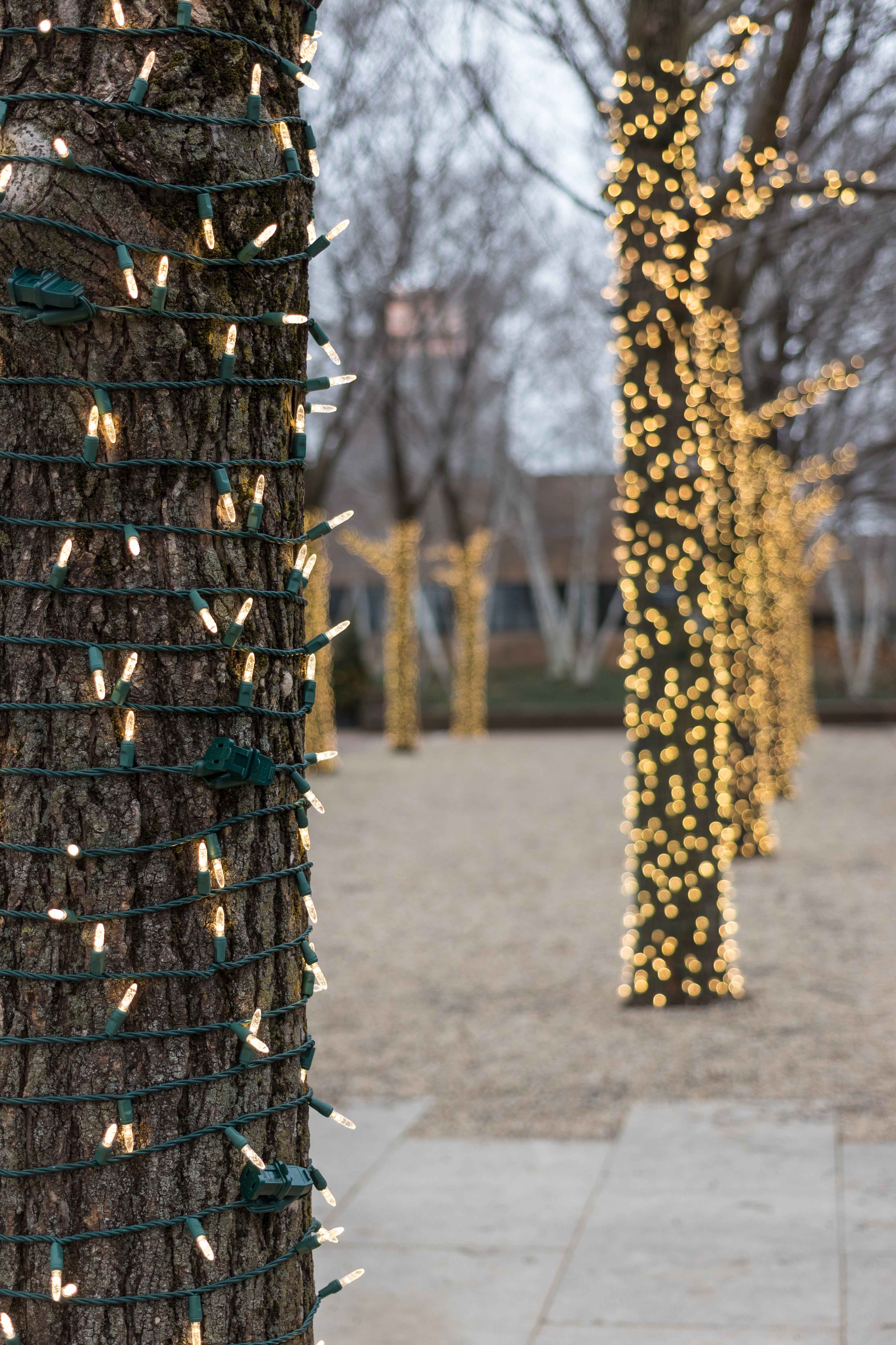 Outdoor Holiday Lights at the Chicago Botanic Garden | https://www.roseclearfield.com