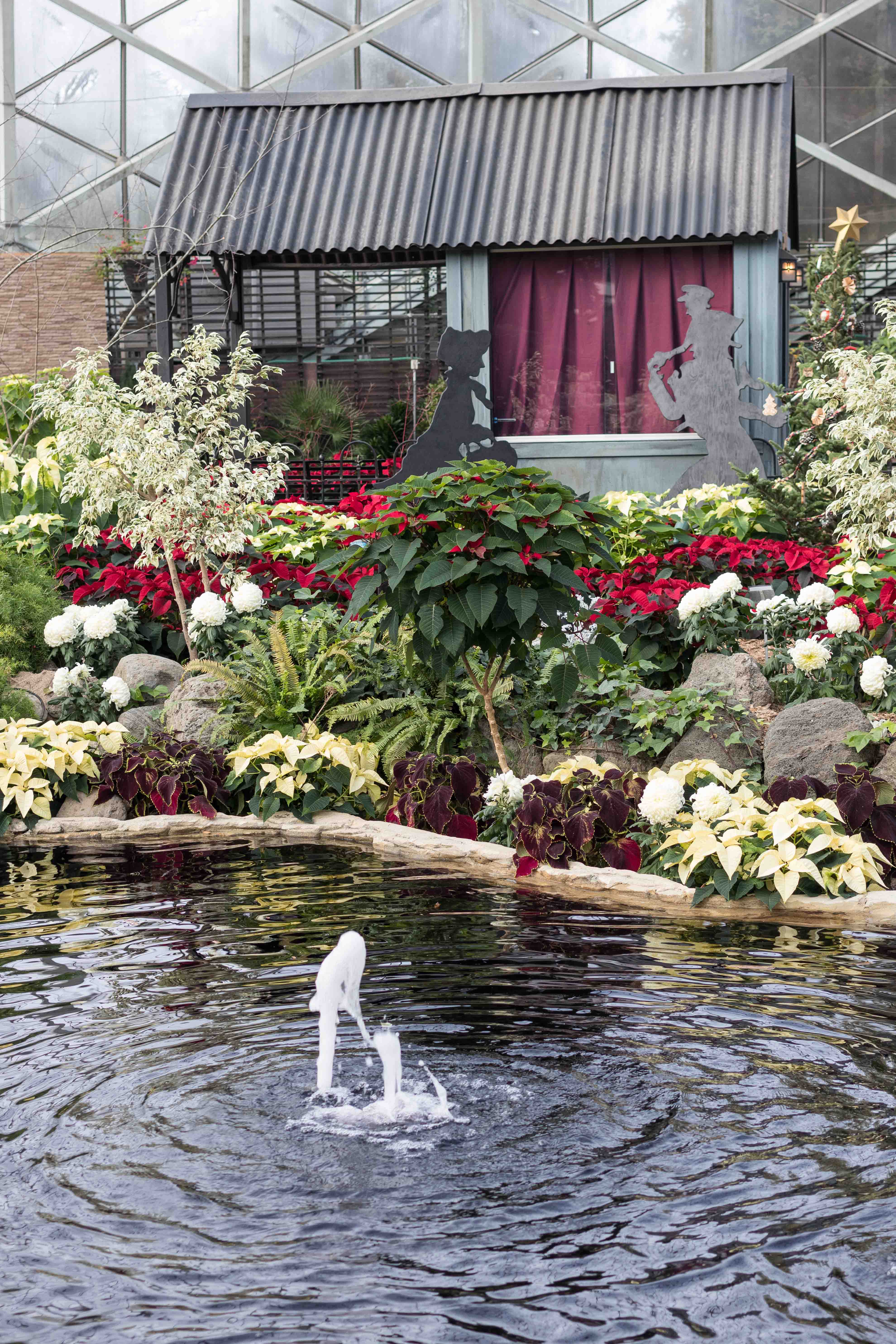 Scrooge Holiday Floral Show at the Mitchell Park Domes, Milwaukee, WI | https://www.roseclearfield.com