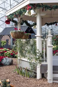 Scrooge Holiday Floral Show at the Mitchell Park Domes, Milwaukee, WI | https://www.roseclearfield.com