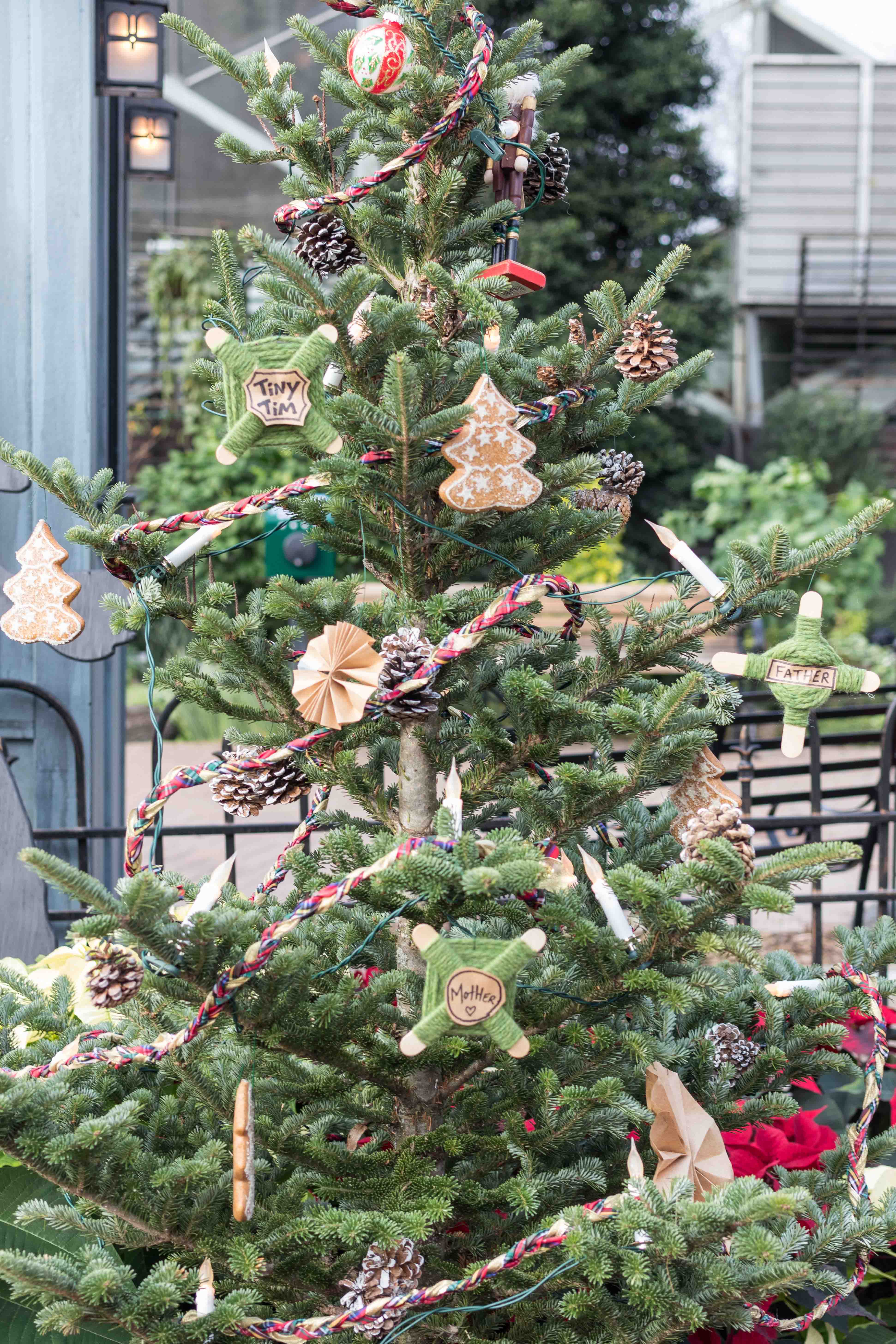 Scrooge Holiday Floral Show at the Mitchell Park Domes, Milwaukee, WI | https://www.roseclearfield.com