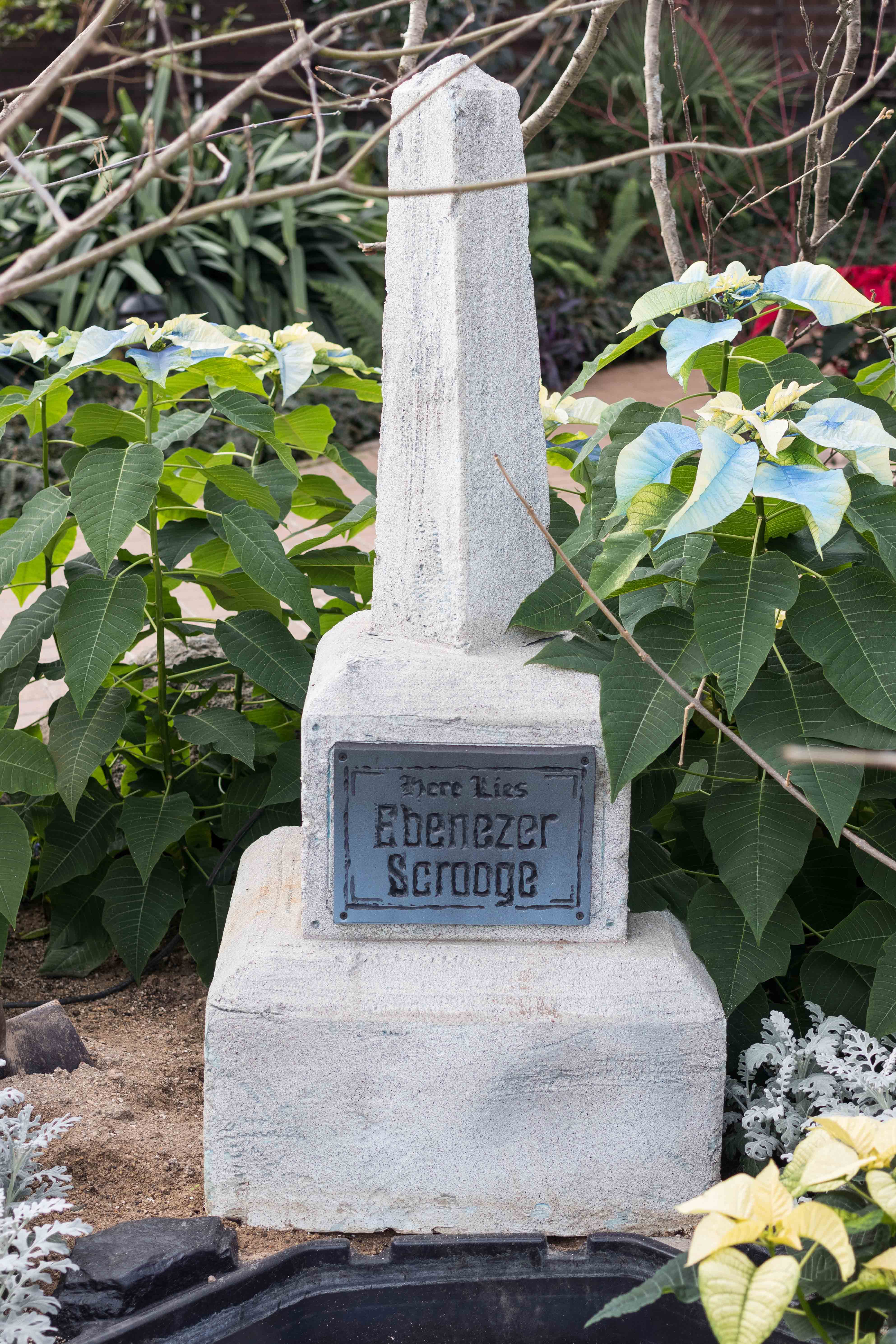 Scrooge Holiday Floral Show at the Mitchell Park Domes, Milwaukee, WI | https://www.roseclearfield.com