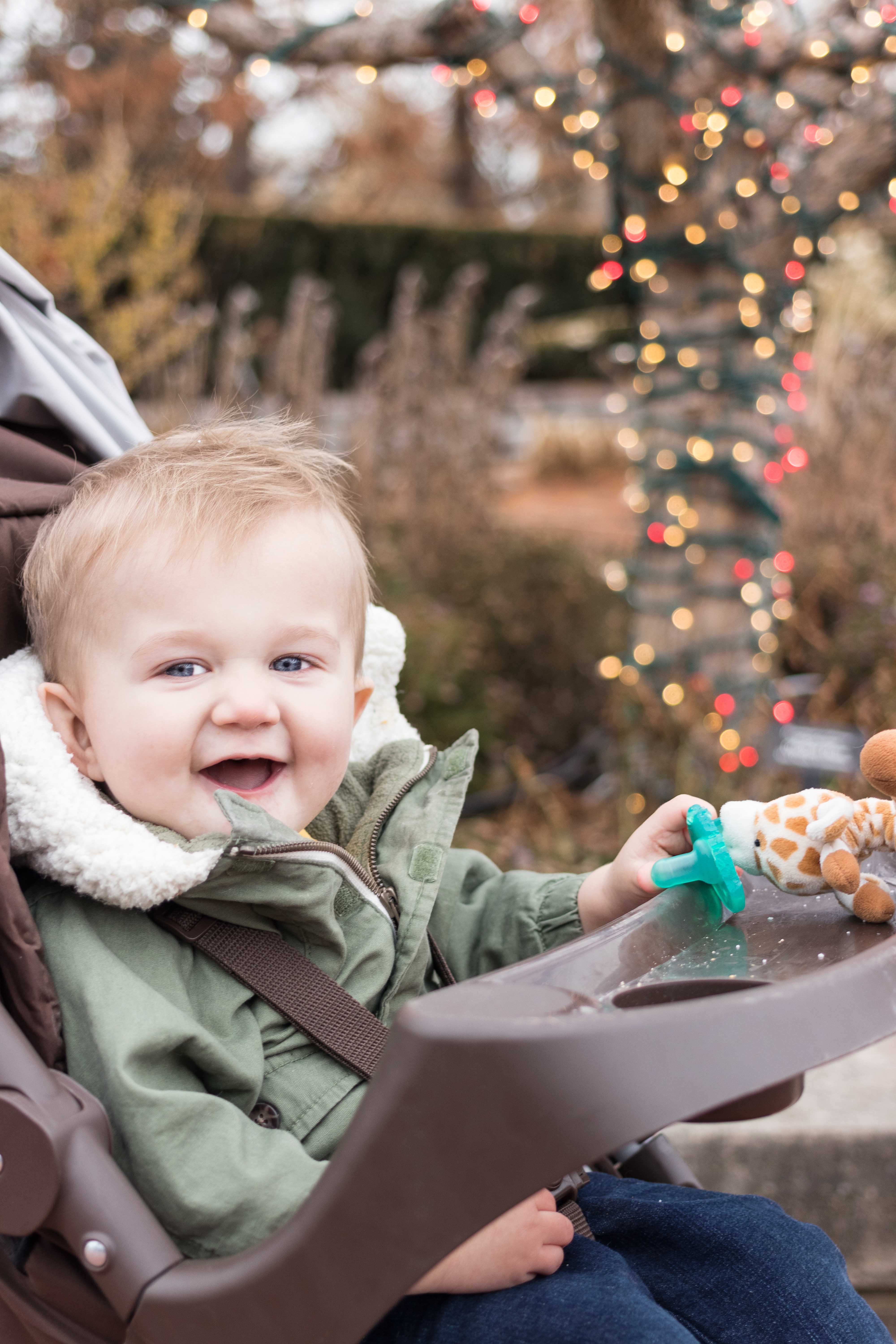 Tommy at the Chicago Botanic Gardens for Christmas 2018 | https://www.roseclearfield.com