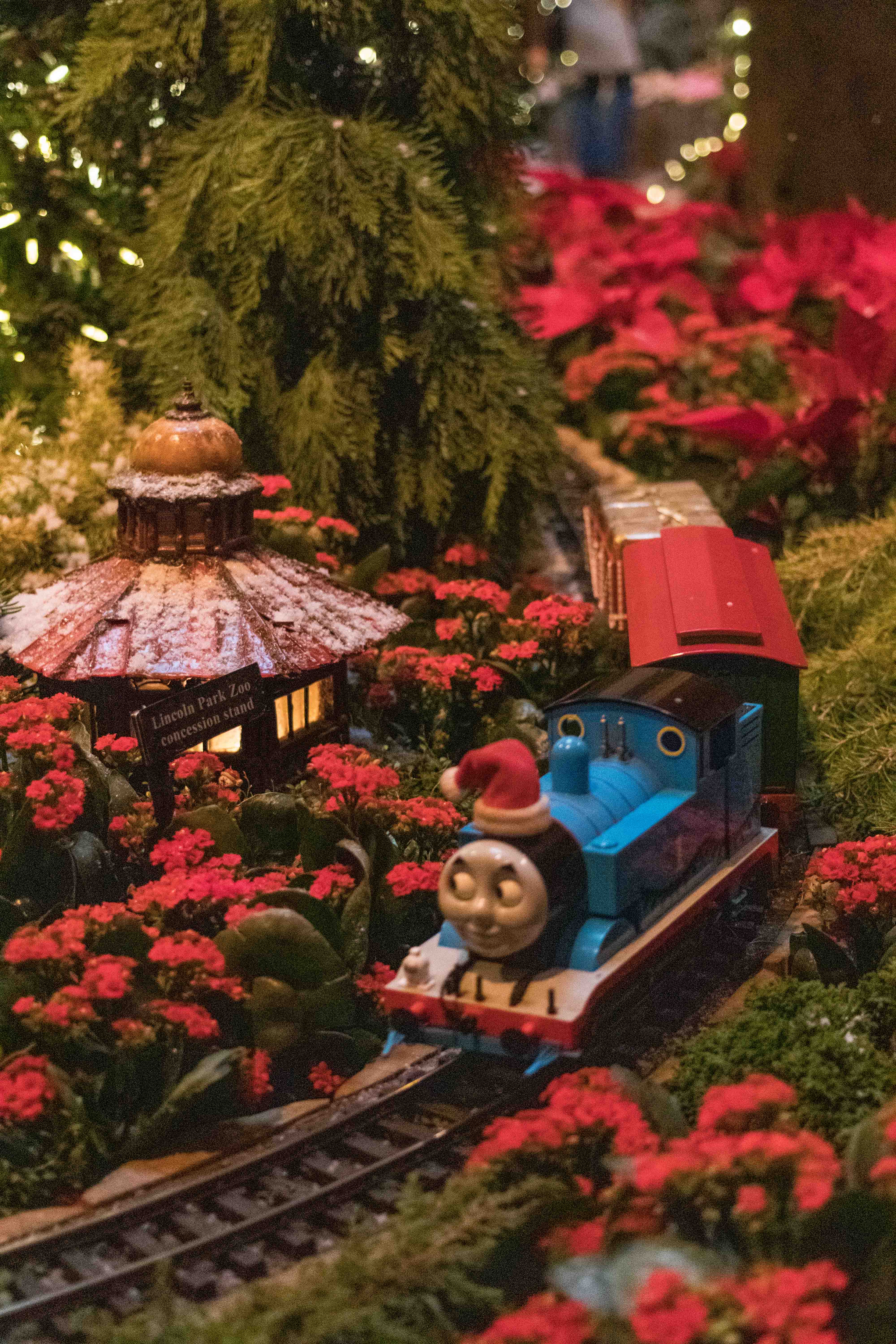 Wonderland Express at the Chicago Botanic Garden | https://www.roseclearfield.com