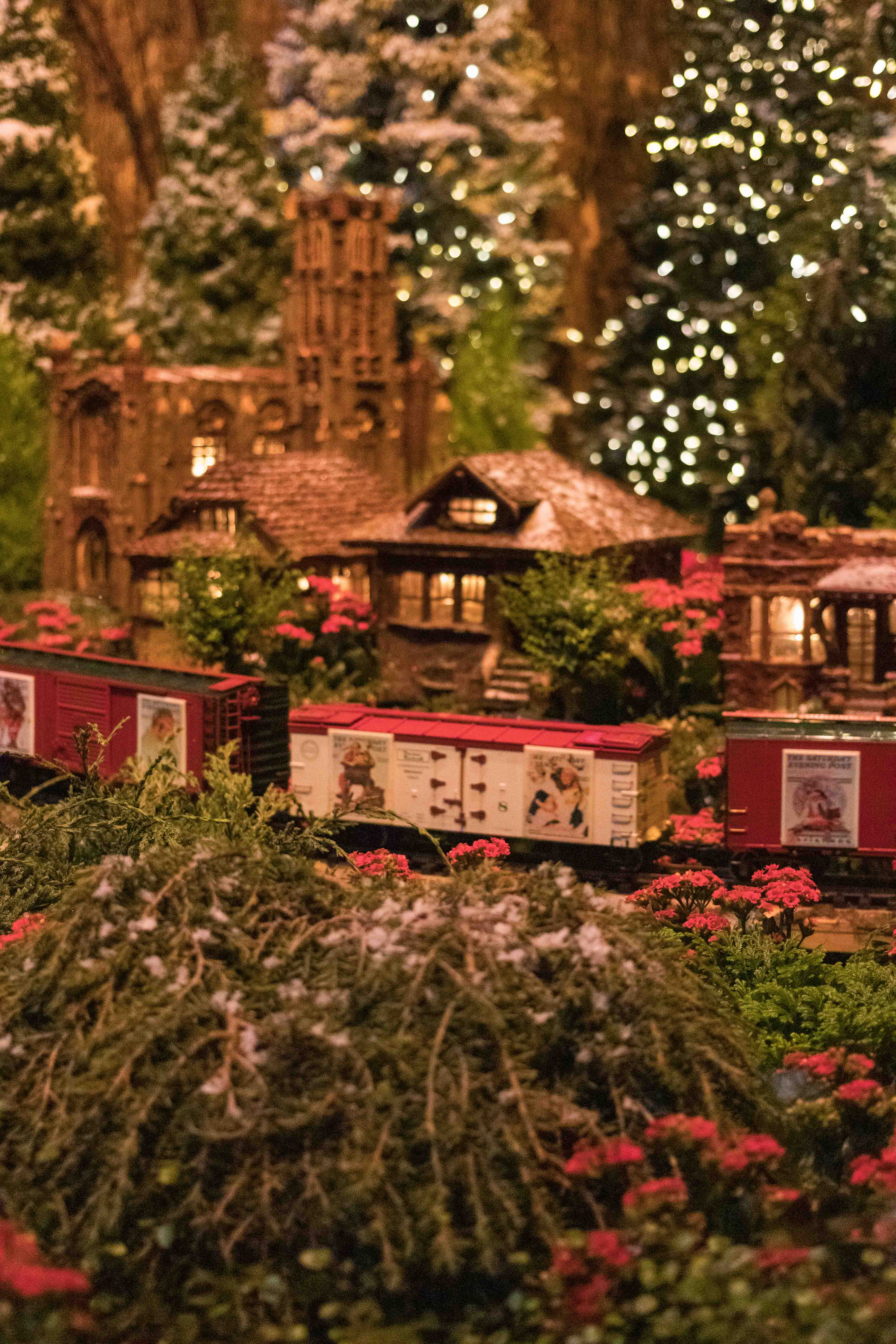 Wonderland Express at the Chicago Botanic Garden | https://www.roseclearfield.com