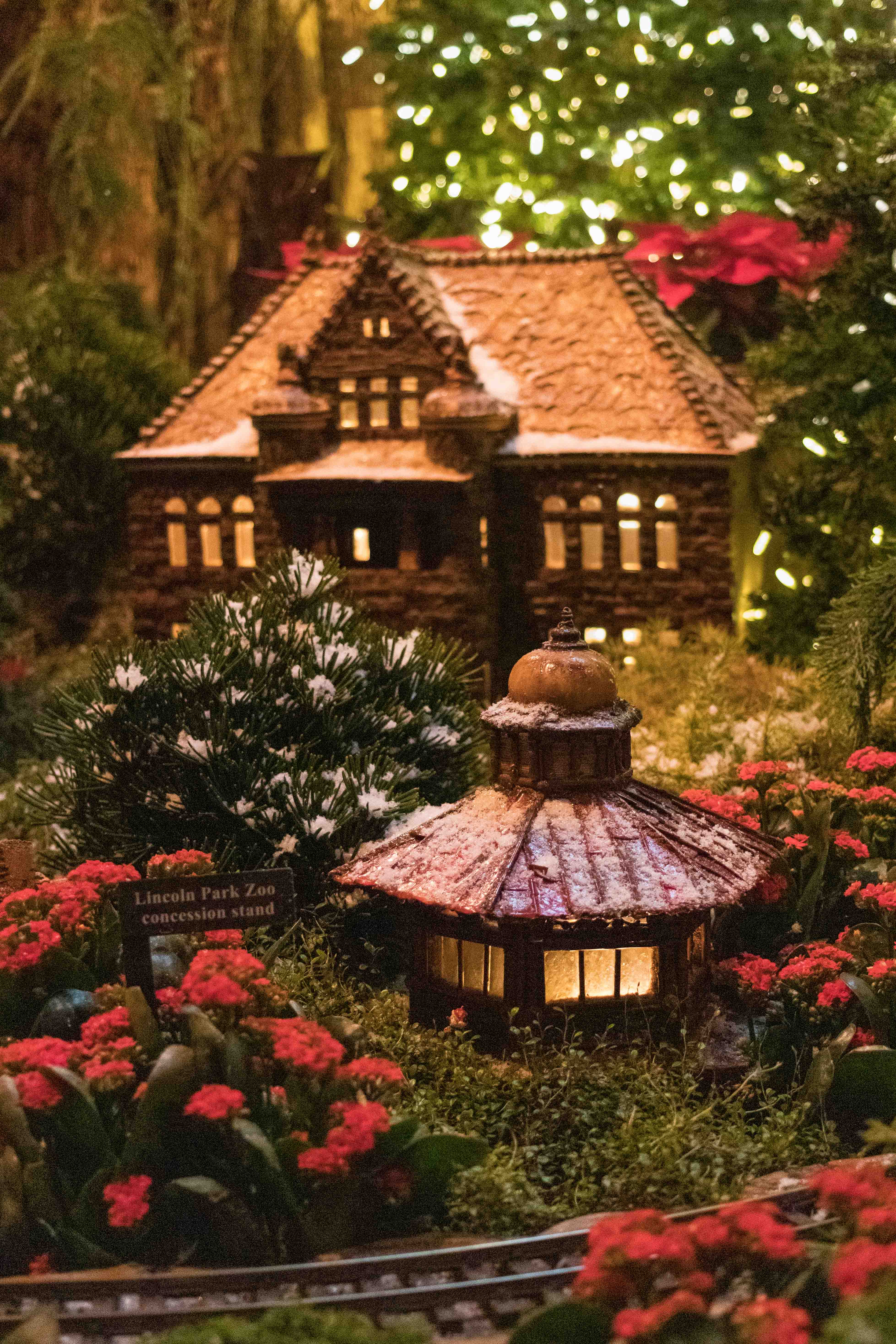 Wonderland Express at the Chicago Botanic Garden | https://www.roseclearfield.com