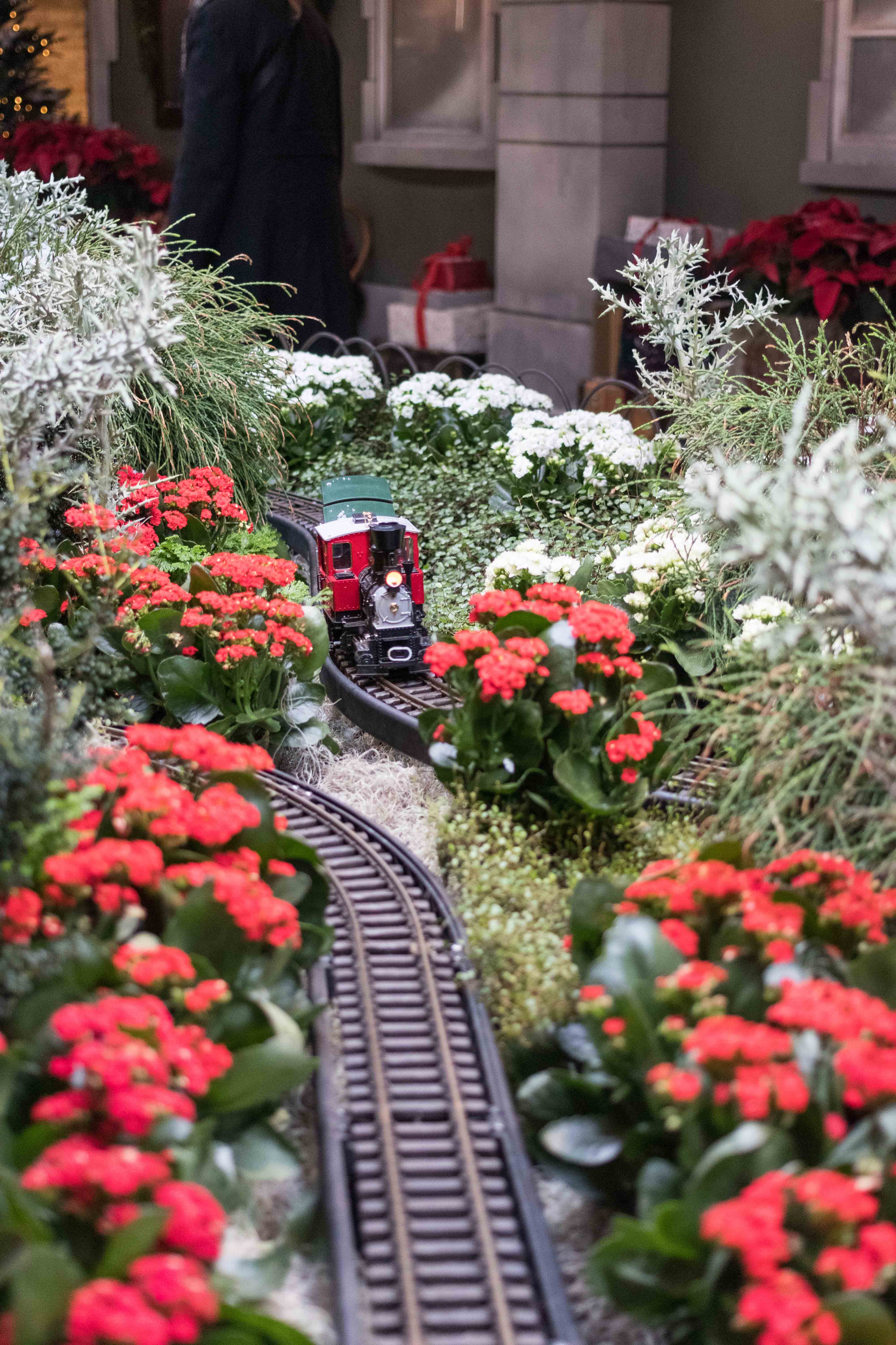 Wonderland Express at the Chicago Botanic Garden | https://www.roseclearfield.com