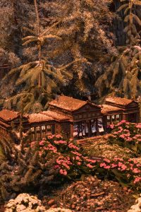 Wonderland Express at the Chicago Botanic Garden | https://www.roseclearfield.com