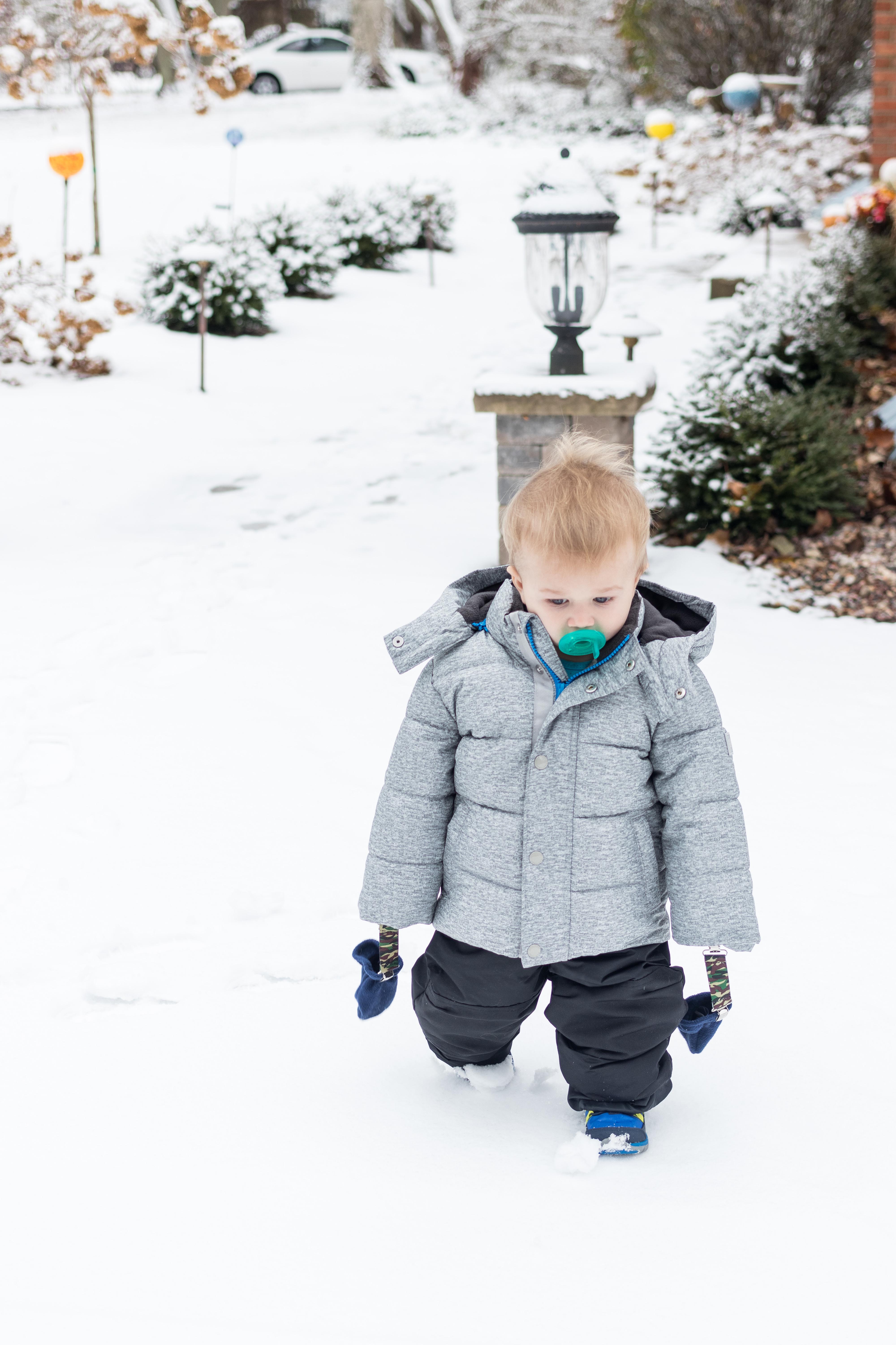 Tommy in the Snow Mid-November 2018 | https://www.roseclearfield.com