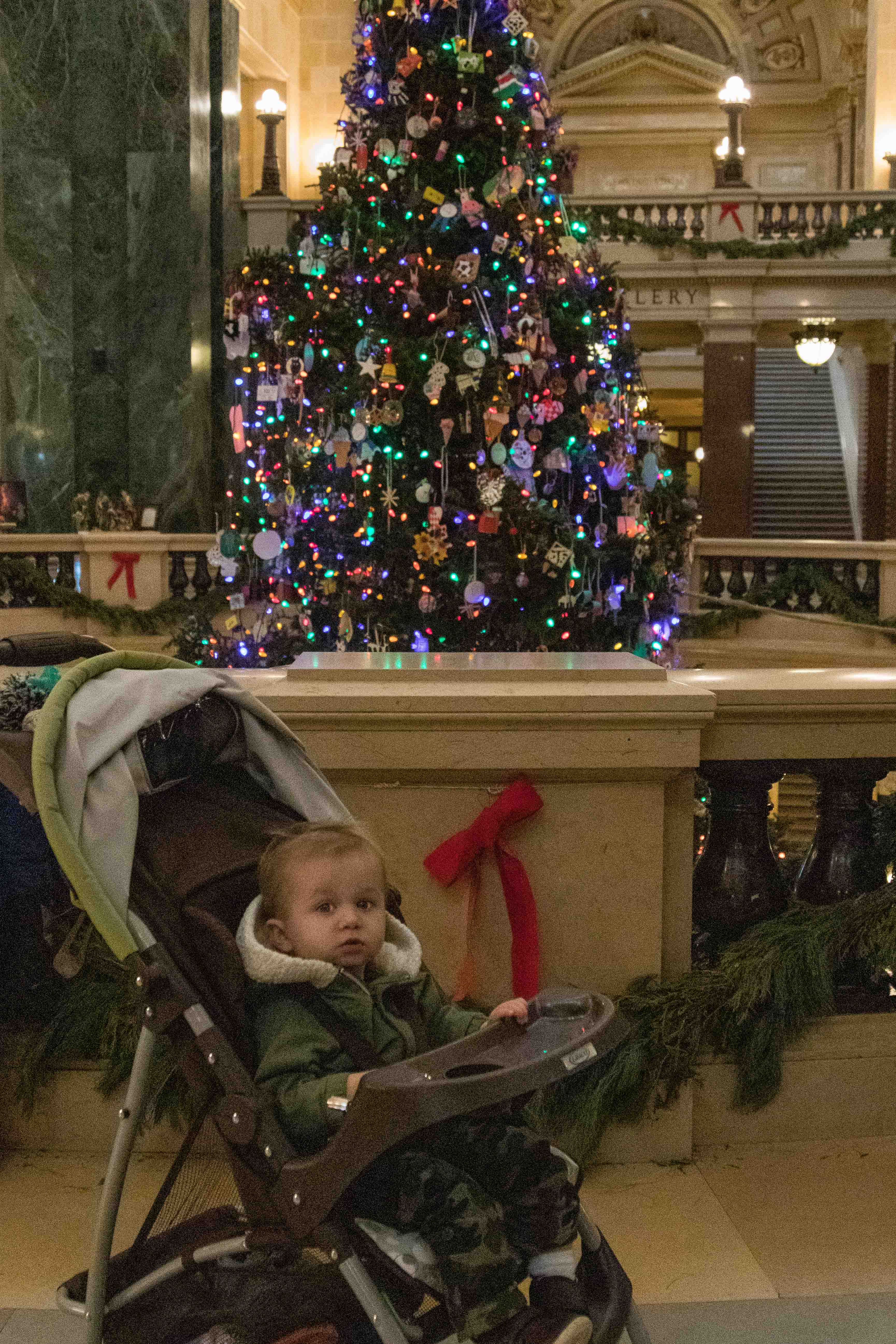 Tommy at the Wisconsin Capitol | https://www.roseclearfield.com