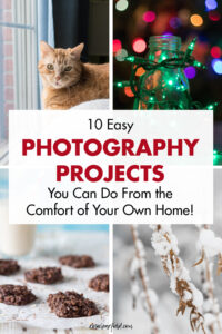 10 Easy Photography Projects You Can Do From the Comfort of Your Own Home