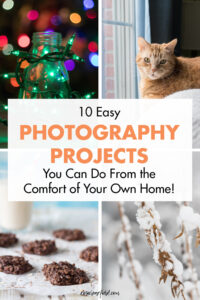 10 Easy Photography Projects You Can Do From the Comfort of Your Own Home Orange Text
