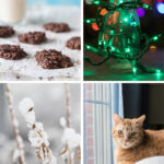 10 Photography Projects To Do From Home Collage
