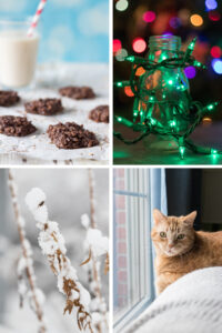 10 Photography Projects To Do From Home Collage