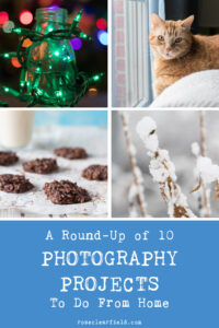 A Round-Up of 10 Photography Projects To Do From Home