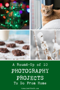 A Round-Up of 10 Photography Projects To Do From Home