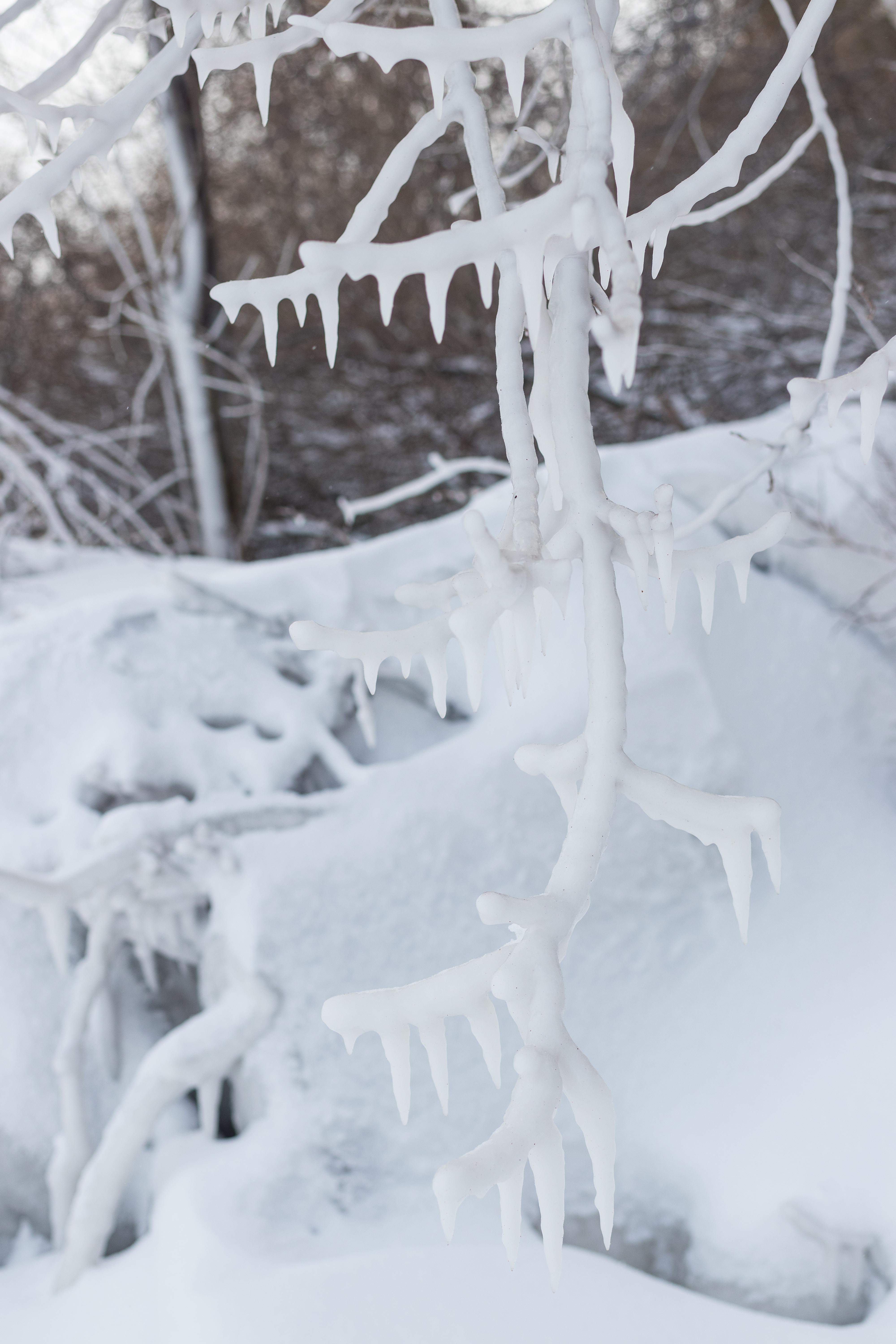 Iced Beach, Lake Michigan, Southeast WI | https://www.roseclearfield.com