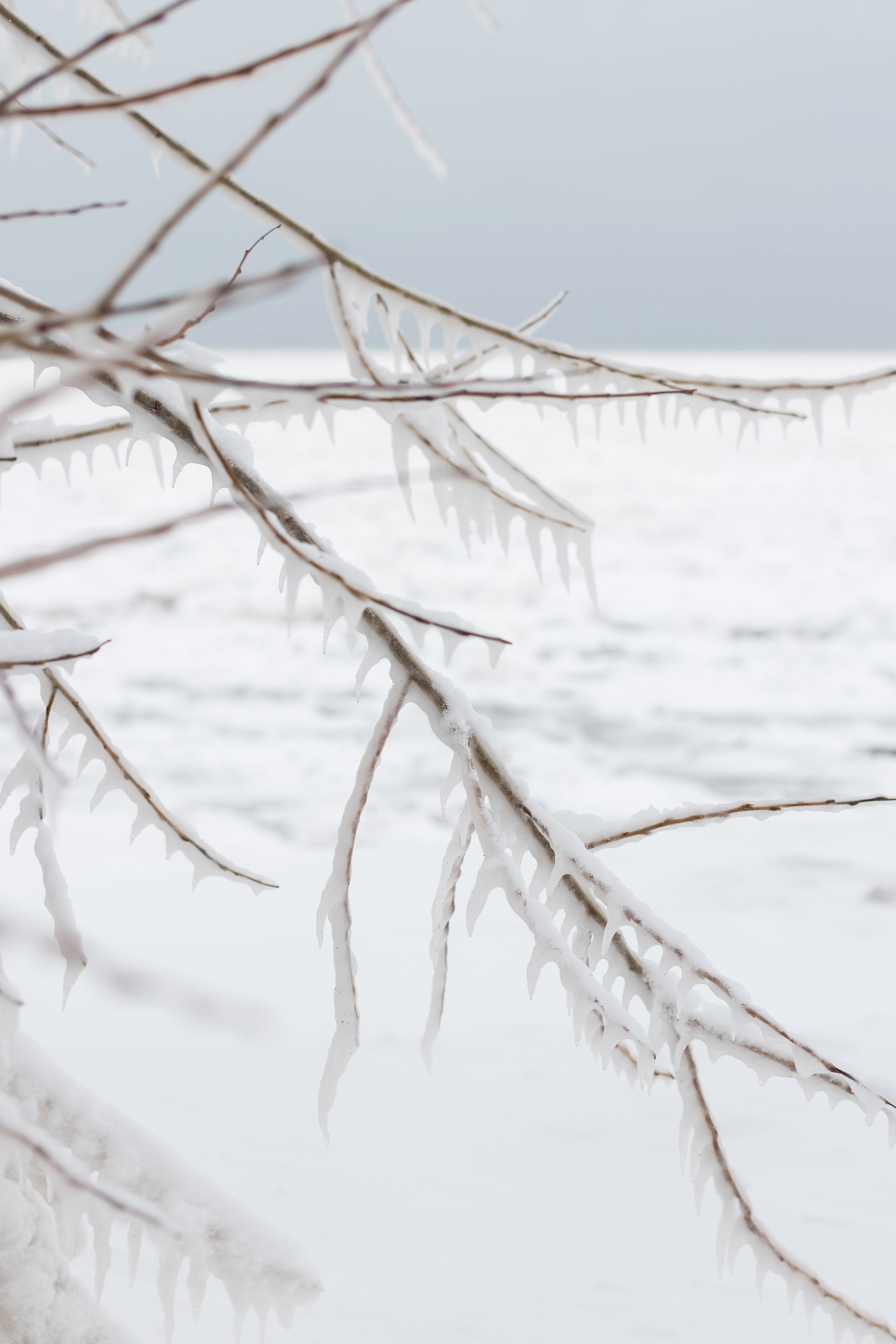 Iced Beach, Lake Michigan, Southeast WI | https://www.roseclearfield.com