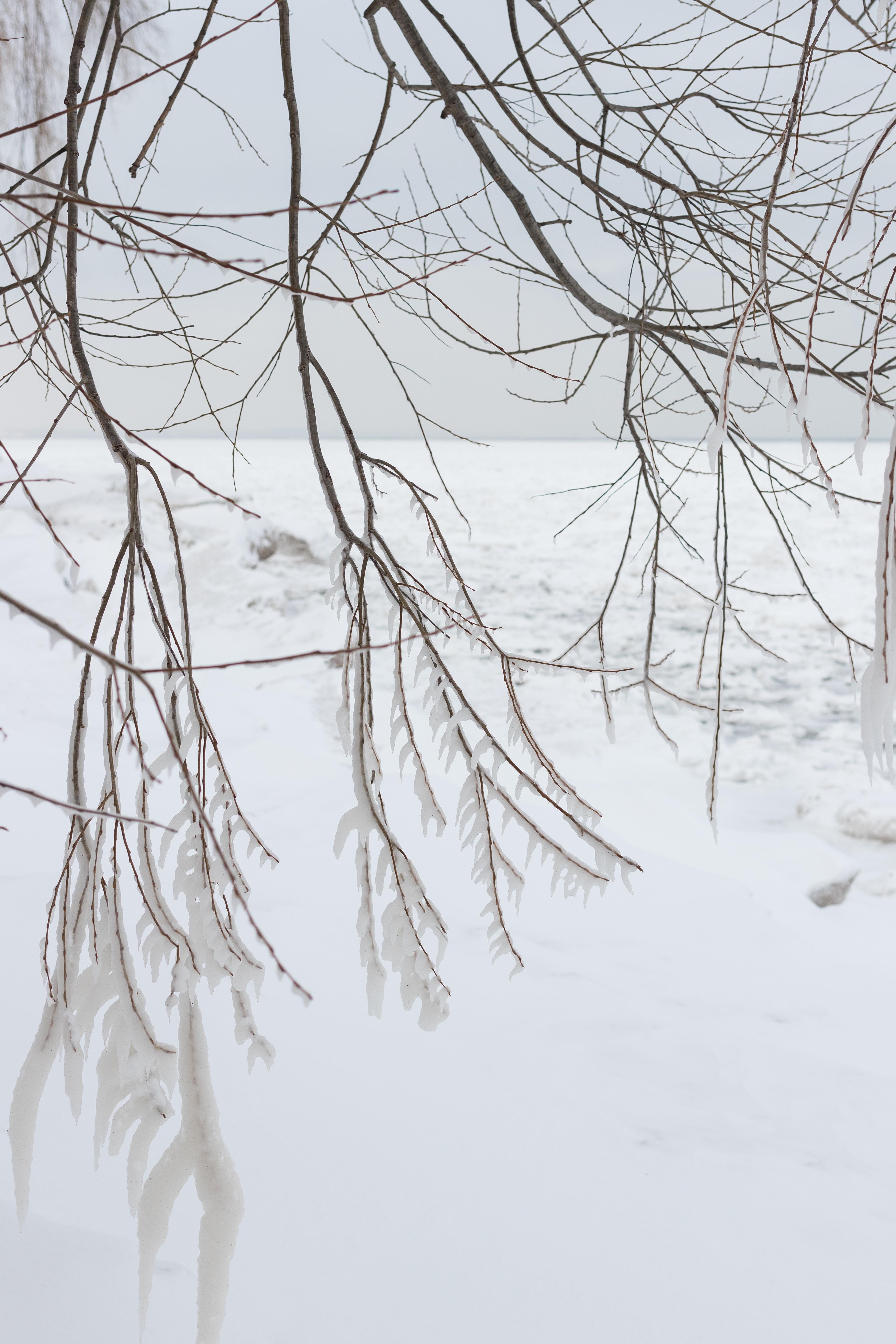 Iced Beach, Lake Michigan, Southeast WI | https://www.roseclearfield.com