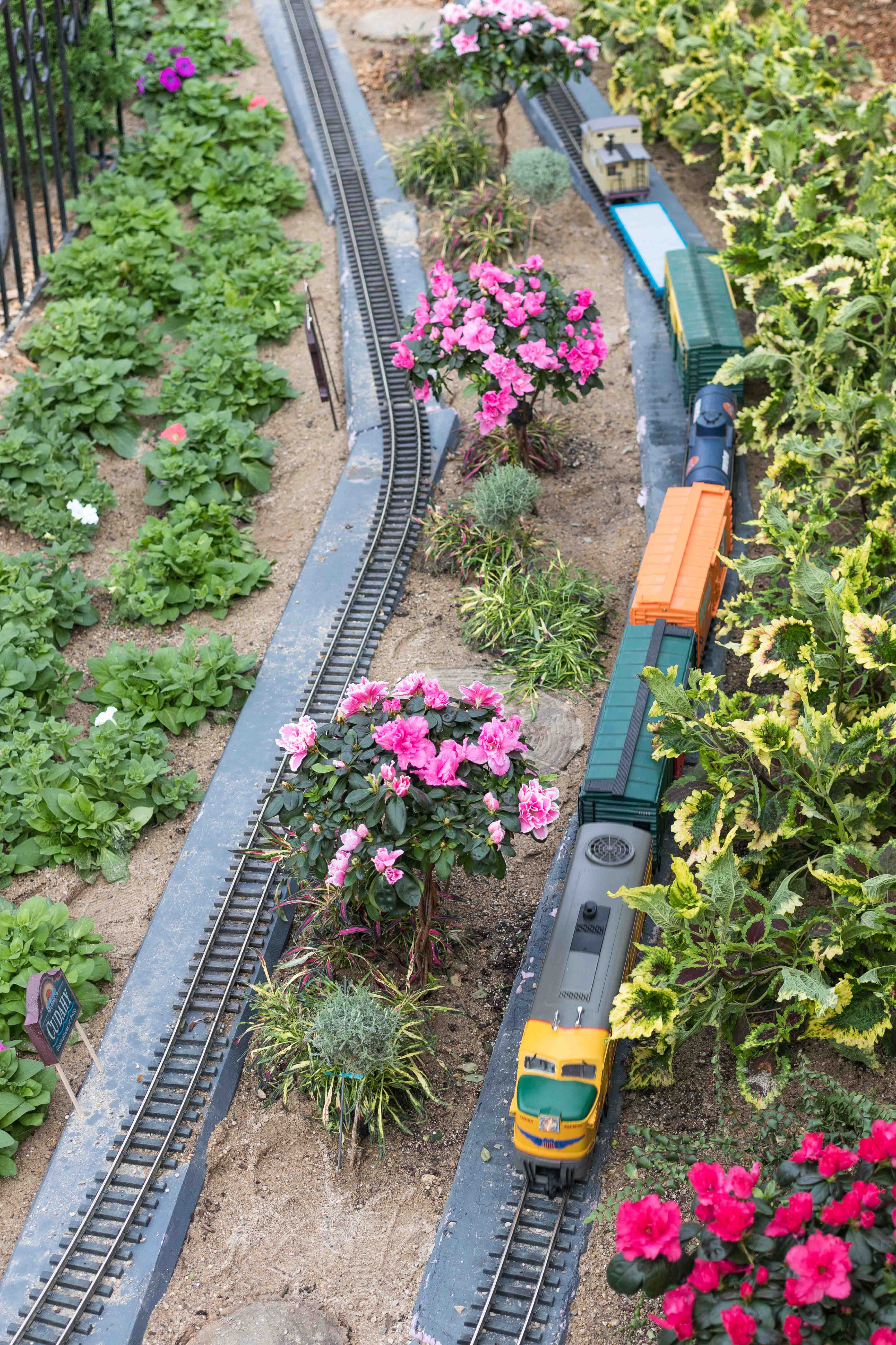 Miniature Milwaukee Garden Train Show at the Domes | https://www.roseclearfield.com