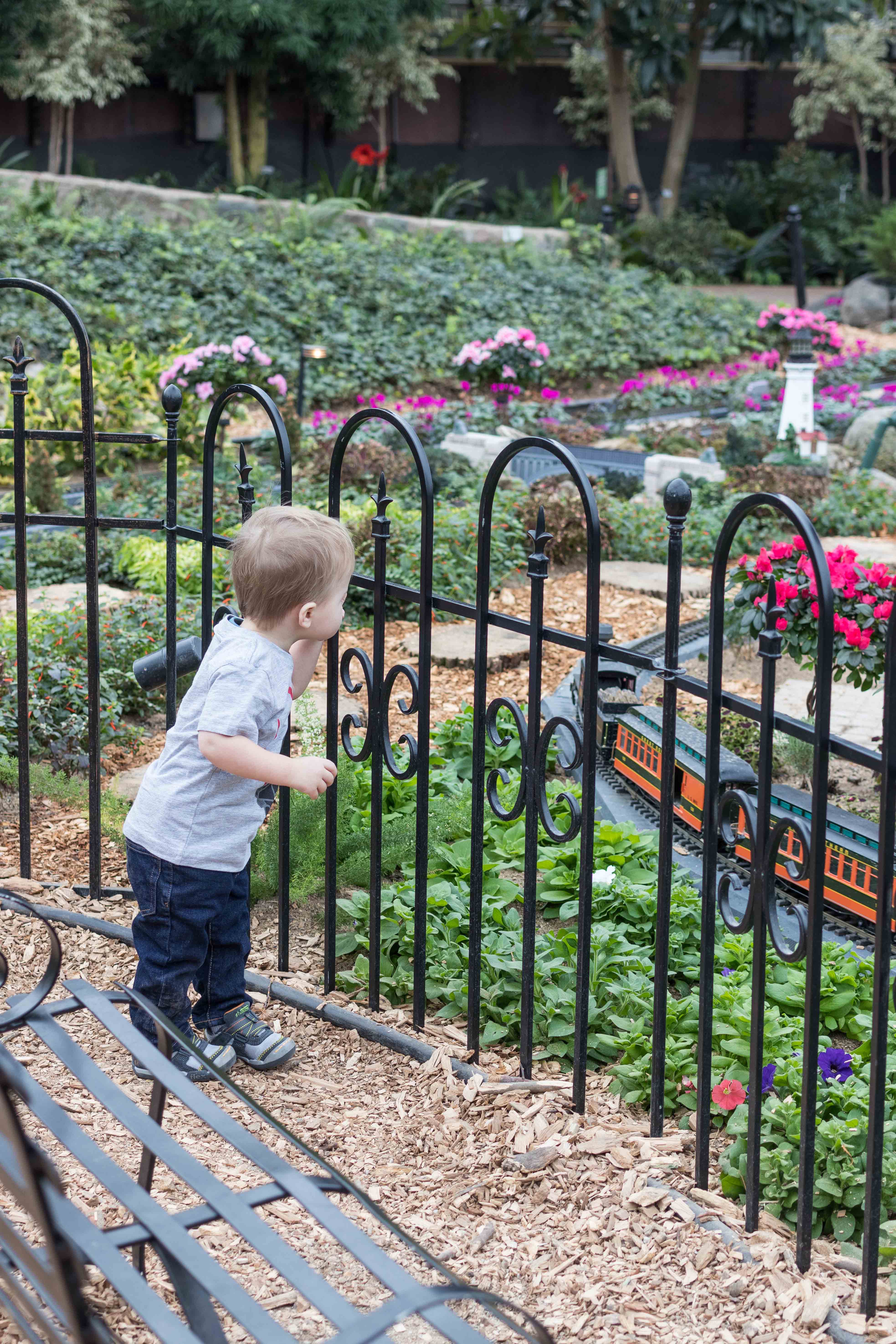 Tommy Watching the Trains at the Domes February 2019 | https://www.roseclearfield.com