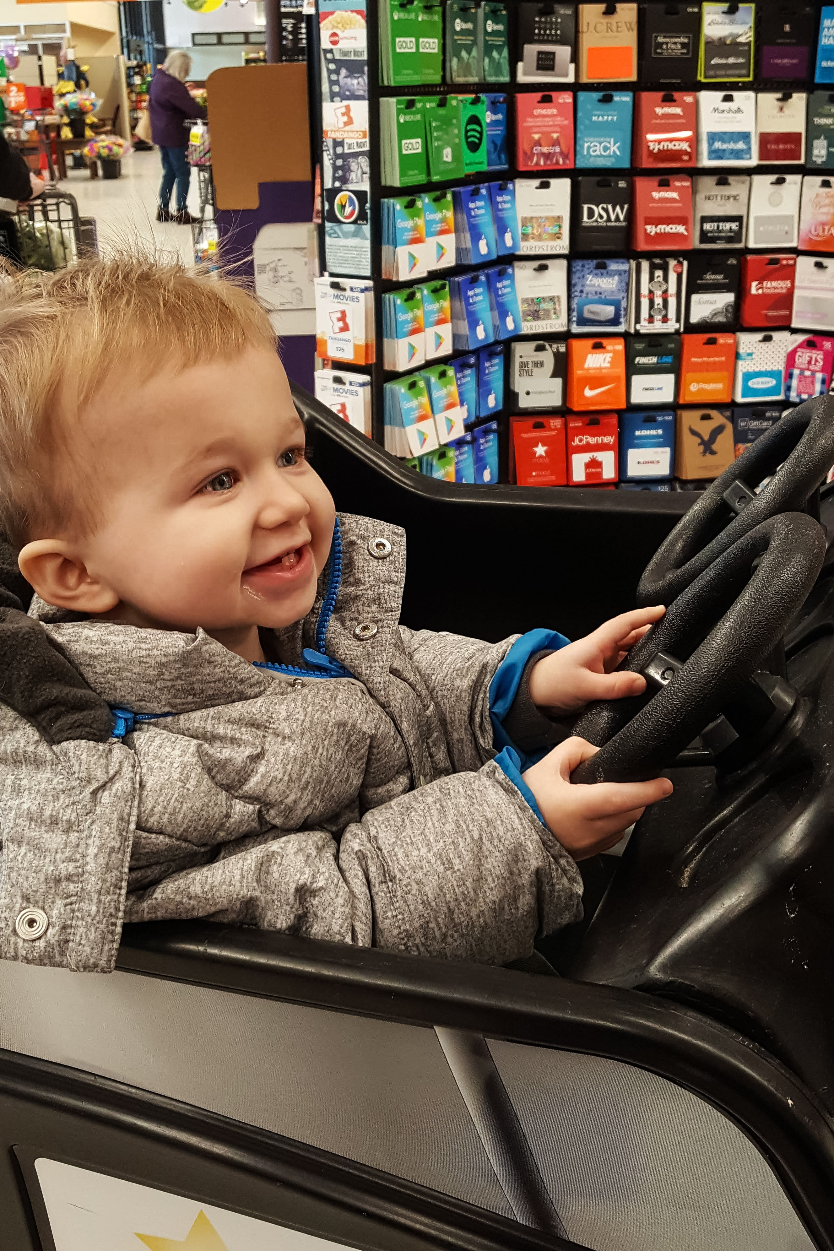 Tommy in the Vehicle Shopping Cart February 2019 | https://www.roseclearfield.com