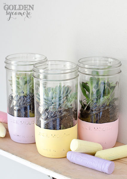 Painted pastel succulent mason jar plants are a quick spring home decor project. via The Golden Sycamore | https://www.roseclearfield.com