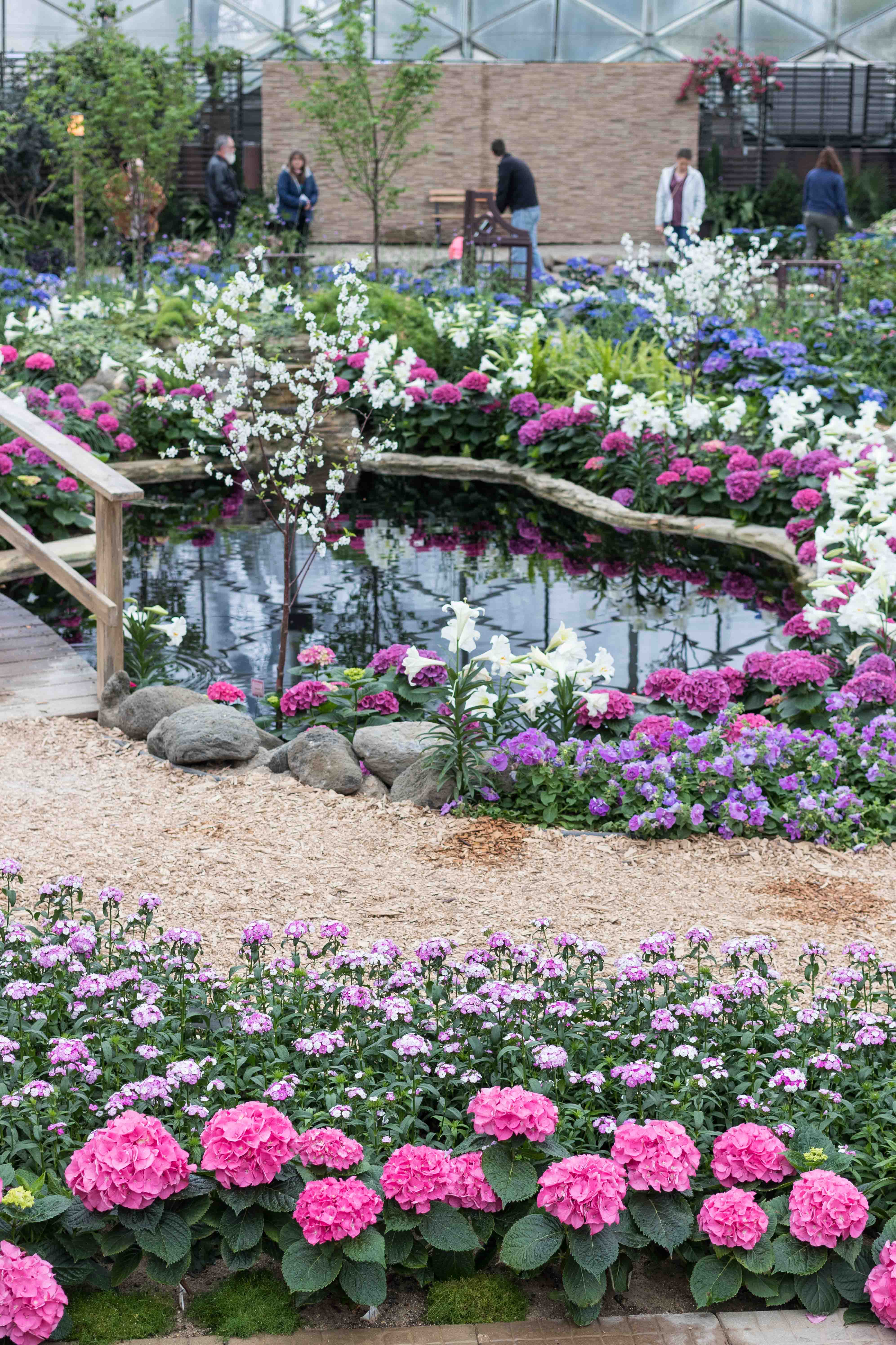 Japanese Zen Garden Spring Floral Show at the Mitchell Park Domes in Milwaukee, WI #Japanesezengarden #floralshow #MitchellParkDomes | https://www.roseclearfield.com