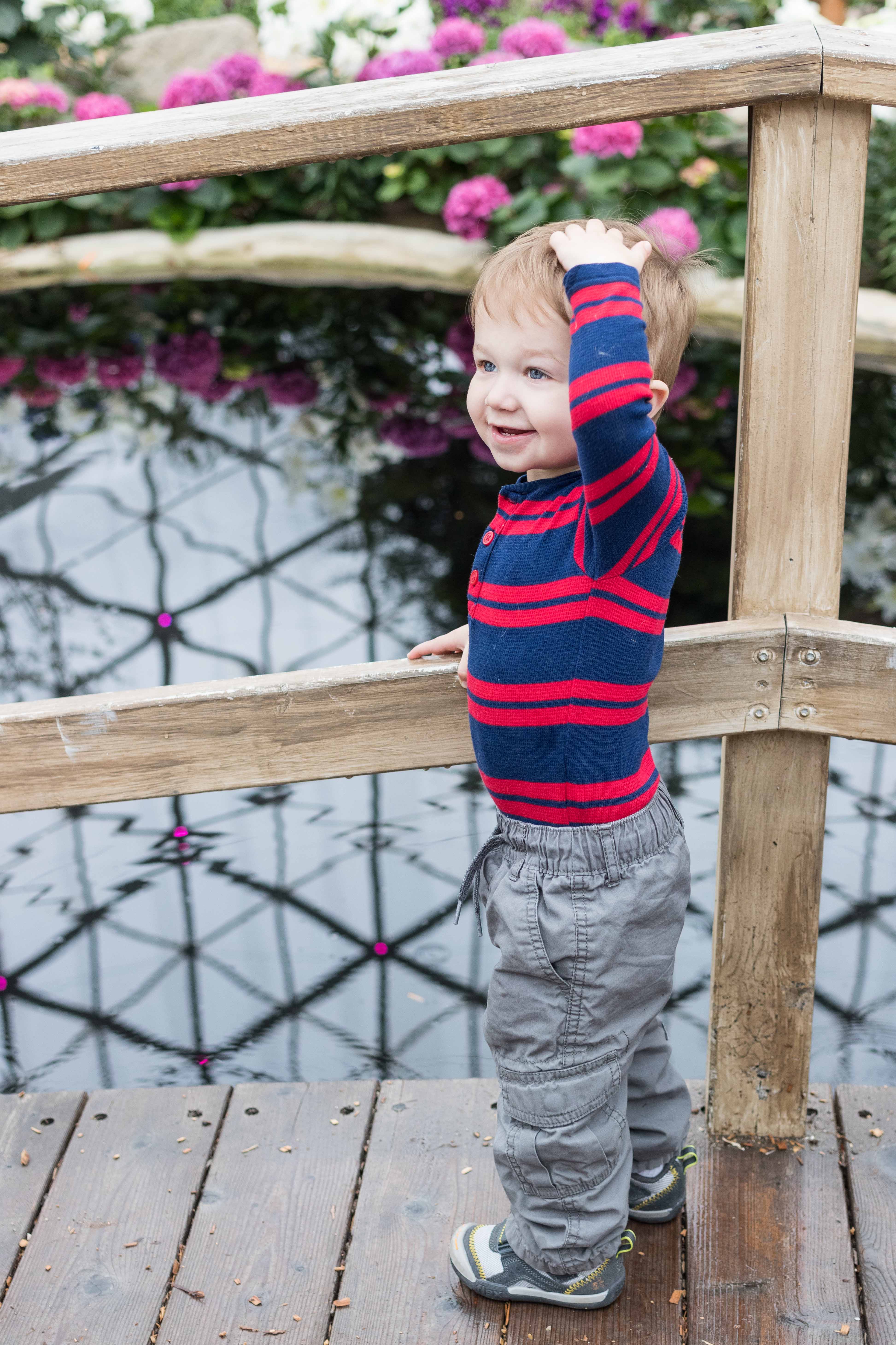 Japanese Zen Garden Spring Floral Show at the Mitchell Park Domes in Milwaukee, WI #Japanesezengarden #floralshow #MitchellParkDomes | https://www.roseclearfield.com