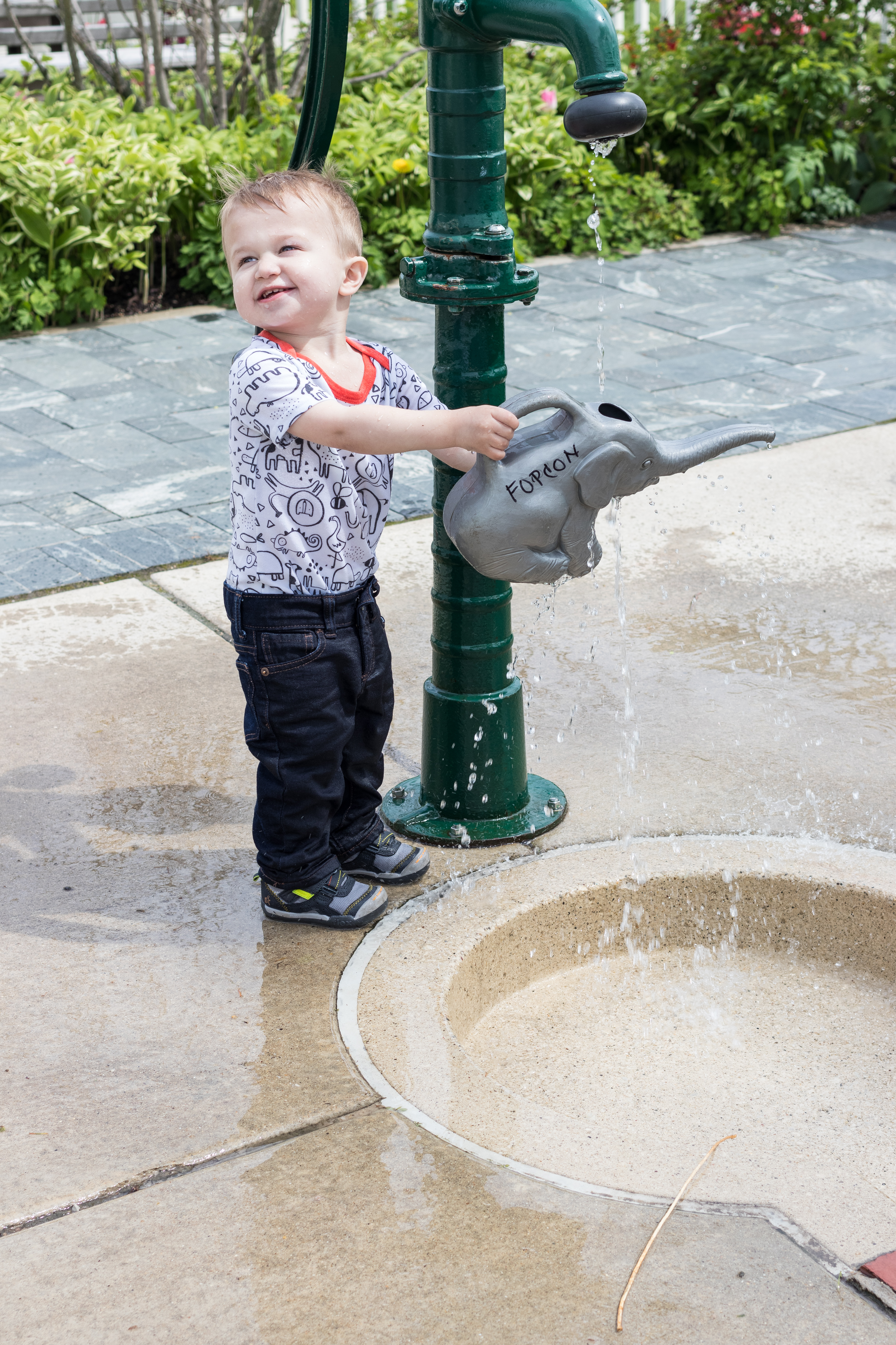 Tommy at the Oak Park Conservatory | https://www.roseclearfield.com