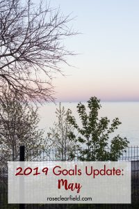 2019 Goals Update: May | https://www.roseclearfield.com