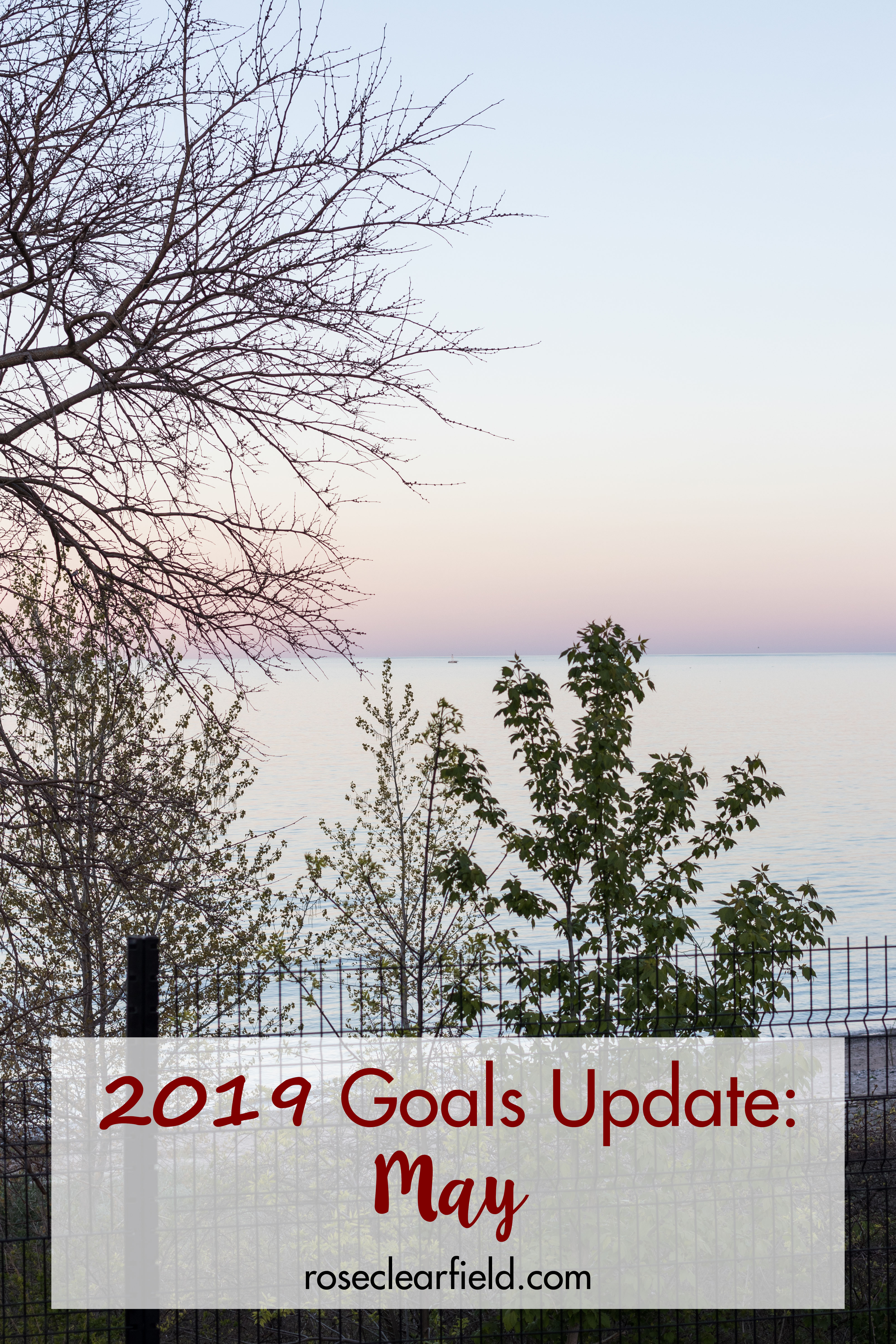 2019 Goals Update: May | https://www.roseclearfield.com