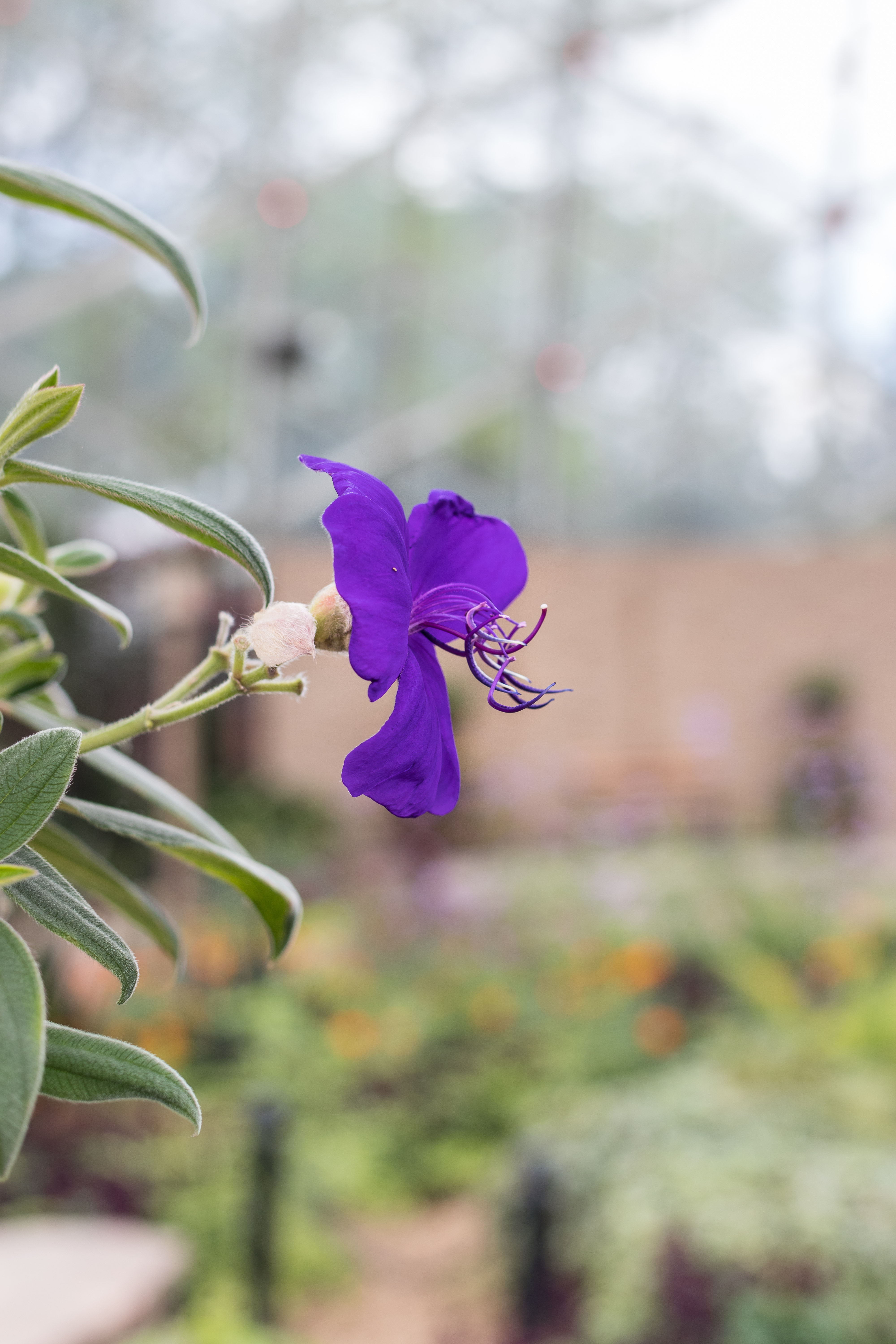 Under the Sea Summer Floral Show at the Mitchell Park Domes #MitchellParkDomes #MilwaukeeWI #floralshow #UndertheSea | https://www.roseclearfield.com