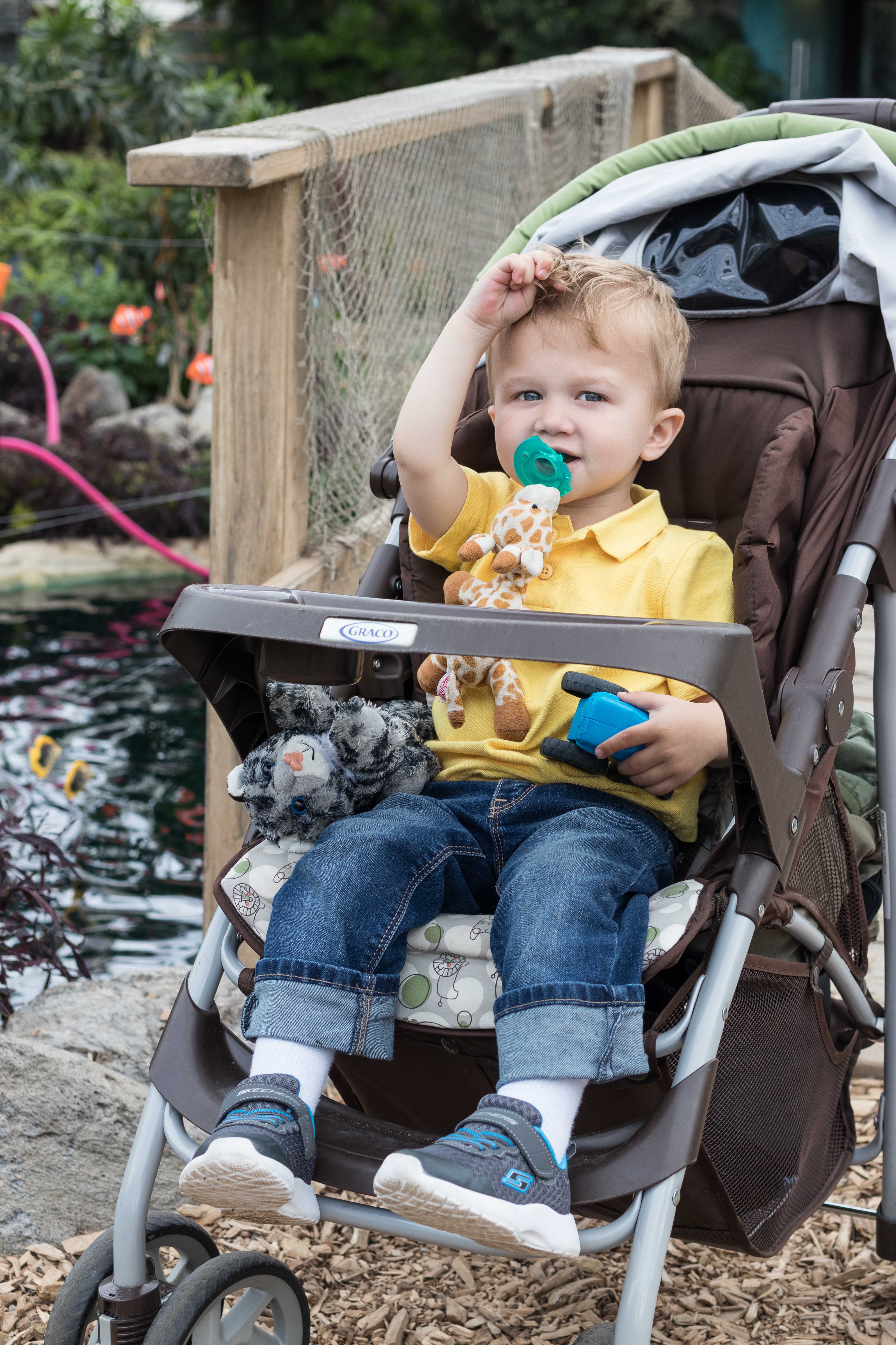 Under the Sea Summer Floral Show at the Mitchell Park Domes #MitchellParkDomes #MilwaukeeWI #floralshow #UndertheSea | https://www.roseclearfield.com