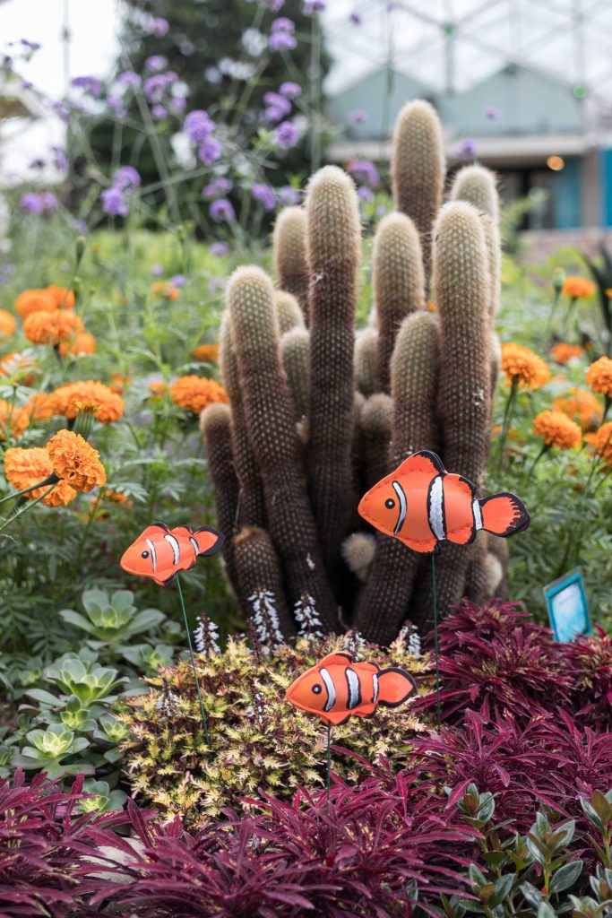 Under the Sea Summer Floral Show at the Mitchell Park Domes #MitchellParkDomes #MilwaukeeWI #floralshow #UndertheSea | https://www.roseclearfield.com