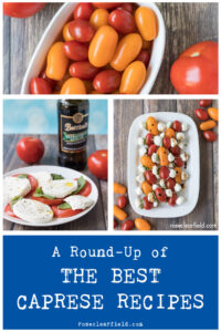 A Round-Up of The Best Caprese Recipes