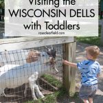 Guide to Visiting the Wisconsin Dells with Toddlers