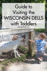 Guide to Visiting the Wisconsin Dells with Toddlers