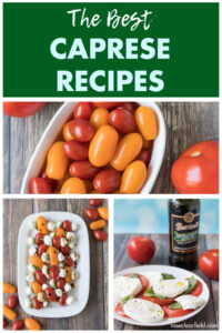 The Best Caprese Recipes Collage