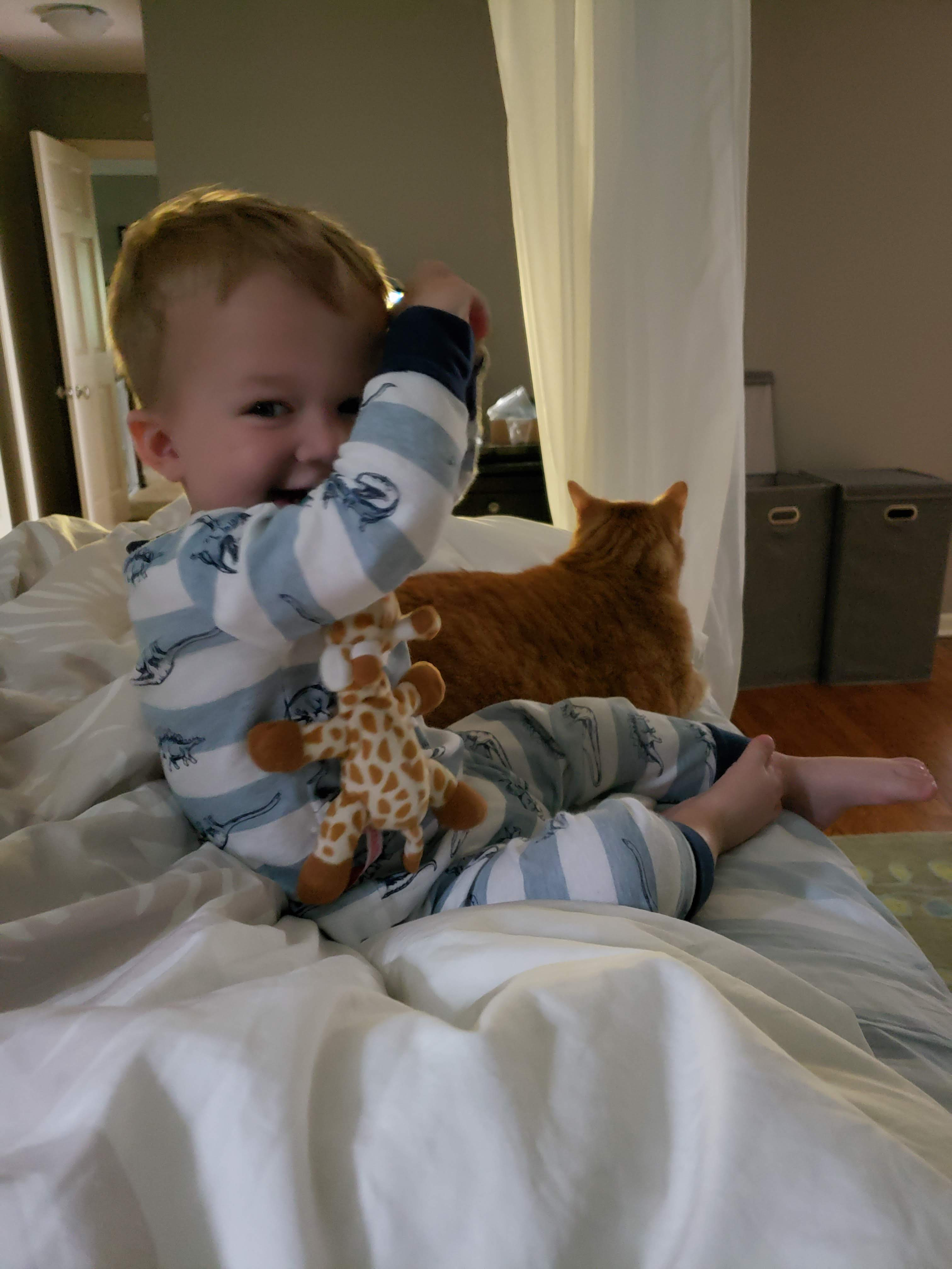 Tommy and Apollo #toddlers #orangecats #kidsandcats | https://www.roseclearfield.com