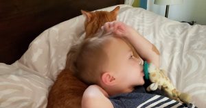 Toddlers with Cat