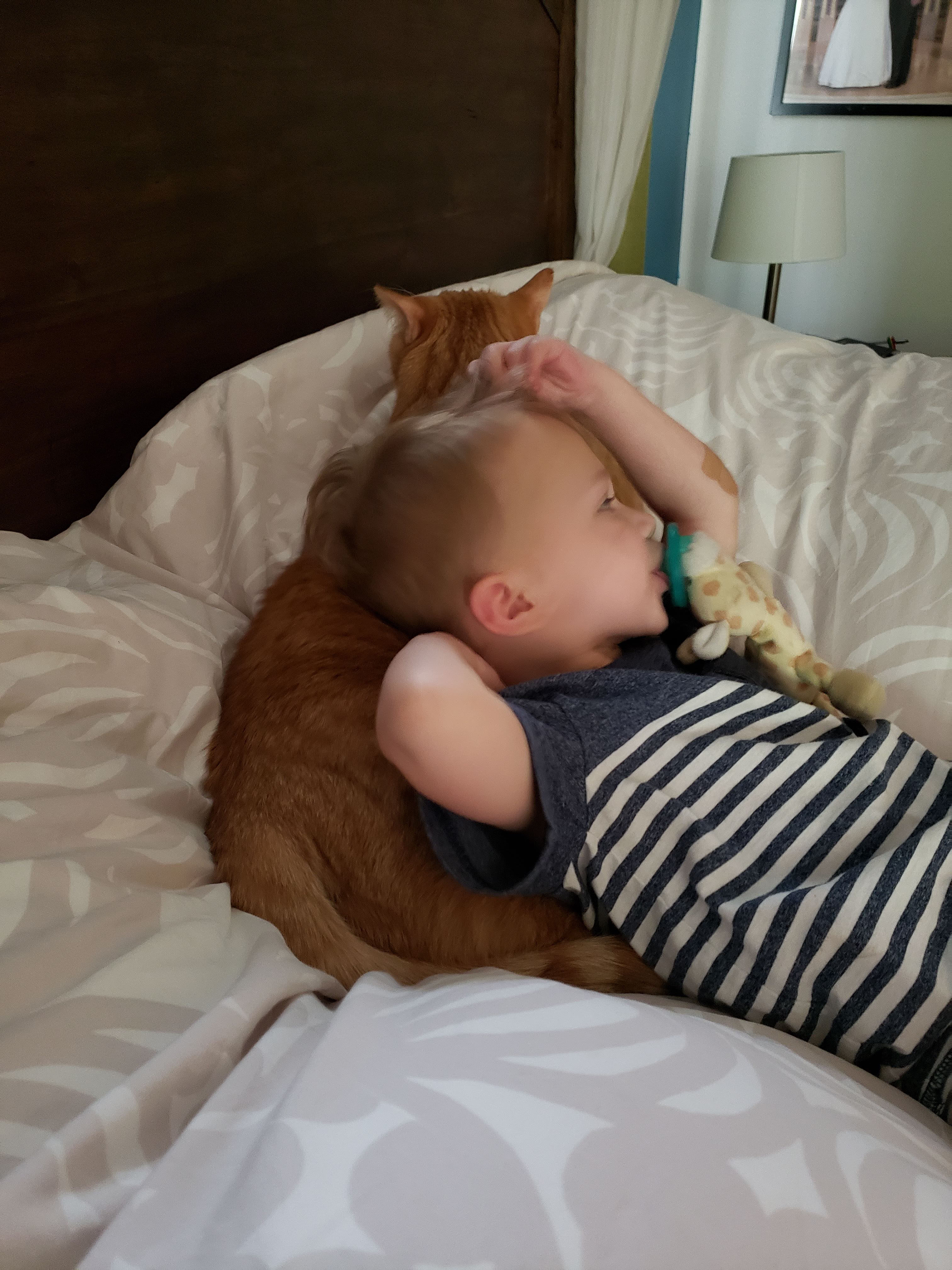 Tommy and Apollo #toddlers #orangecats #kidsandcats | https://www.roseclearfield.com