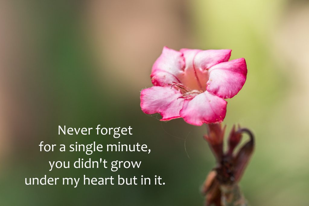 Never forget for a single minute, you didn't grow under my heart but in it."