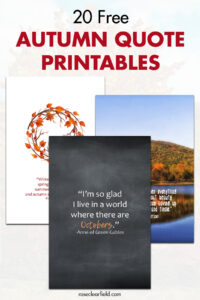 20 Free Autumn Quote Printables