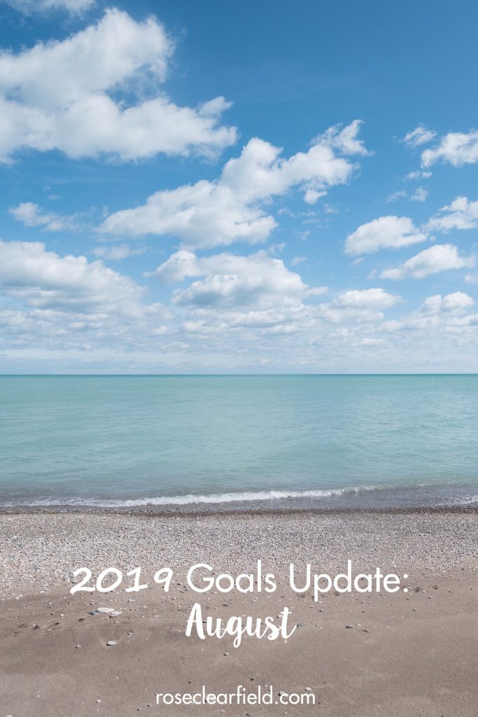 2019 Goals Update August