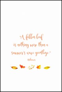 A Fallen Leaf Fall Quote