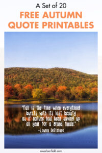 A Set of 20 Free Autumn Quote Printables