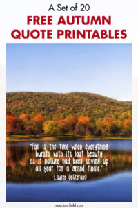 A Set of 20 Free Autumn Quote Printables