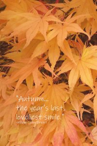Autumn Loveliest Smile William Cullen Bryant Quote