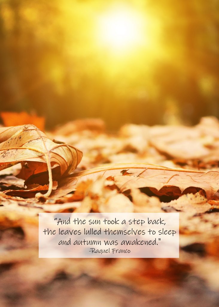 Autumn Was Awakened Raquel Franco Quote